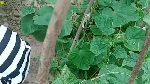 我在地府当阎王 